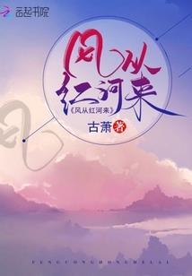 狗狐日记