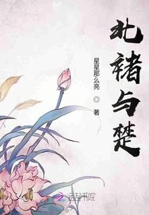 新春的日记