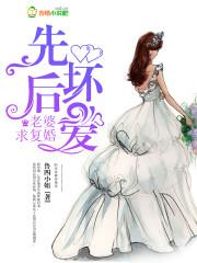 王者训练家