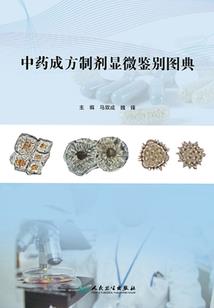 如果我会开飞机