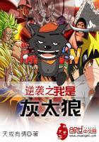 轮回神武