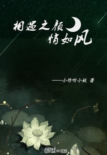 天章录