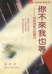 倾听杂味青春