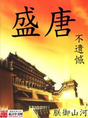 无敌圣兽系统