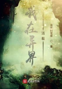 九命巫师