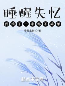 神奇宝贝之小项