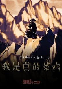 重生成九公主傲世天下
