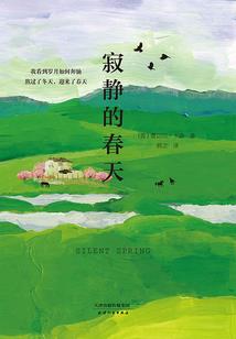 不正经剧本