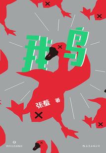 数码宝贝lor