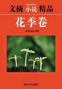 银装素裹之白雪皑皑