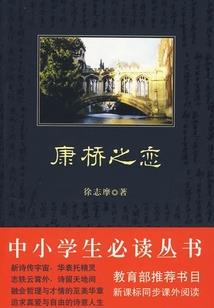 清安传