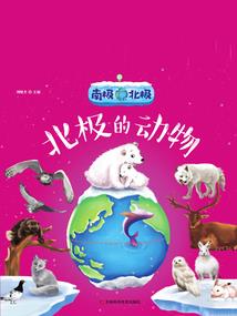 地下城之肝帝系统