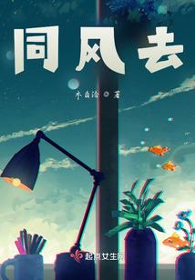 建木凤栖桐