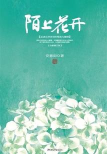 境界妖的夜幕舞台