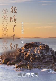 一段穿越学院的爱恋