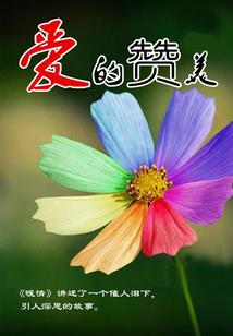 皇上请不要爱我