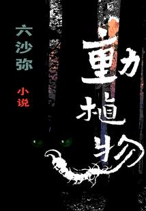 道间道