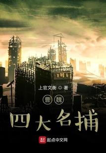 这个王妃不安分