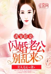 废土提督启示录