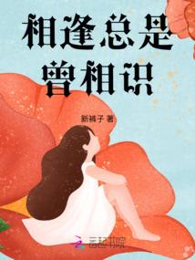 太清闯都市