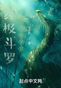 雪城的故事