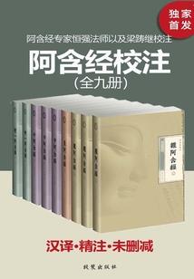 圣裁使者
