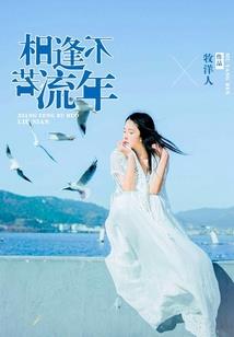 拾贝集