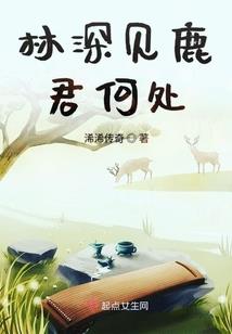 复仇公主的爱恨交向曲