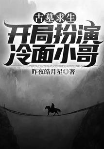 宠物小精灵之全职圣者