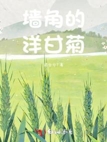 天奇神玄