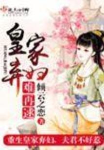 地球第一安保公司