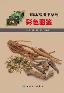剑无缺