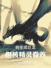综武开局说书人