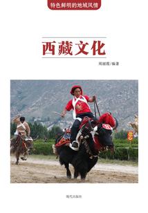 飞翔大盗之神探记