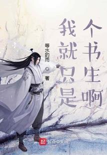 我的不平等先生
