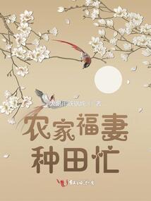 仙界大乱斗