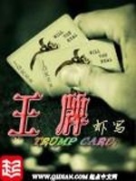陆太太，要个二胎吧