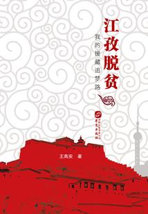 一个包含了许多事件的小说
