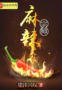 神奇宝贝之极限