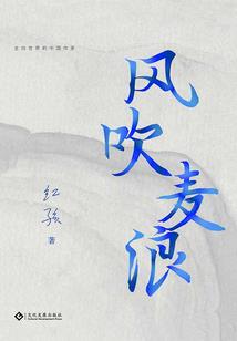 赛博武道
