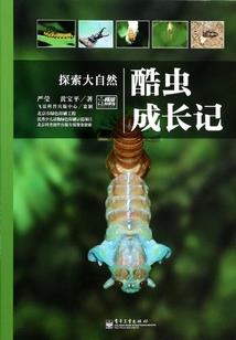 重生回到七岁半