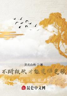 系统再升级记