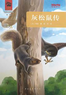水雾中的空空