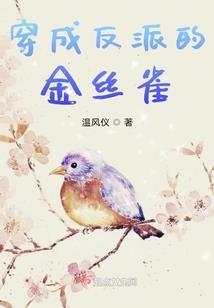 神兽武装者