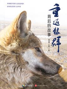 全能世子妃之毒步天下