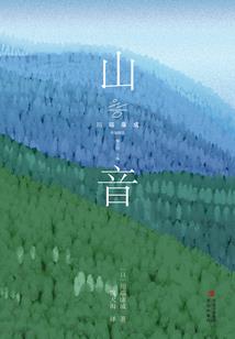 听风雨观星辰