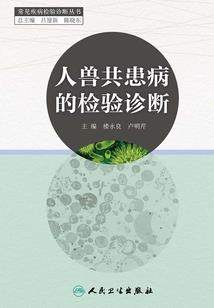 天地阵师