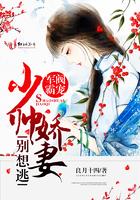 刀剑神域之黑白双刃