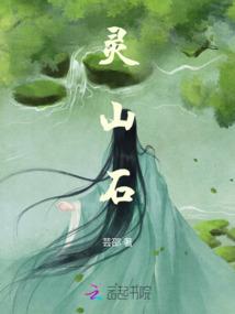 游江湖之王爷苦相随