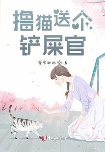 刺客：游戏人生